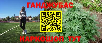 гидра Будённовск