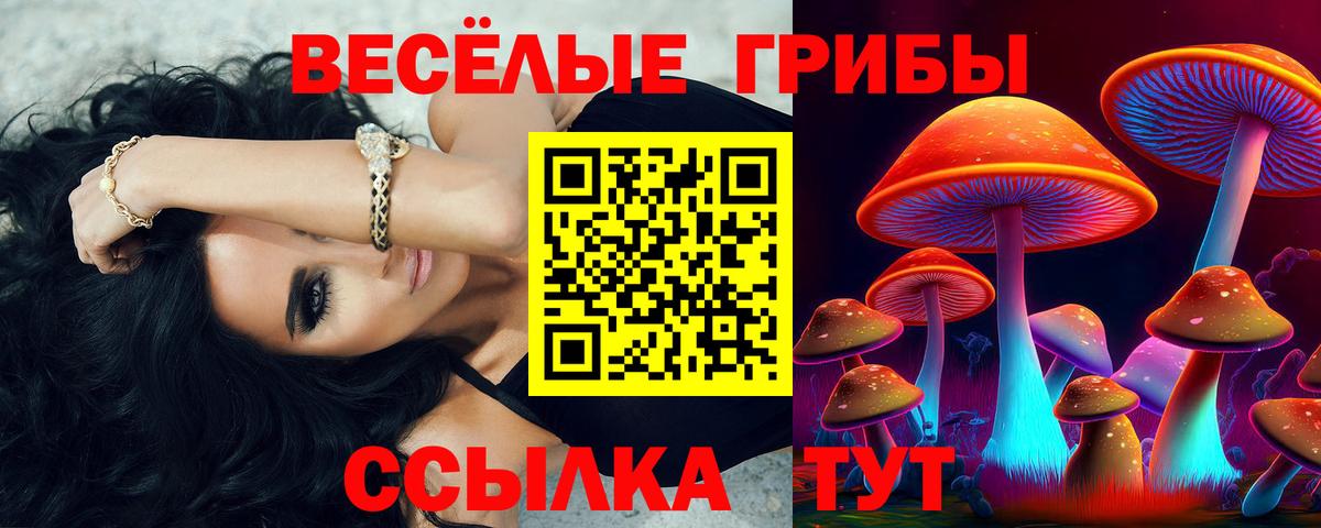 Галлюциногенные грибы ЛСД  Вход с VPN  Шарыпово 